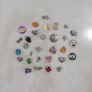 Set of 30 Locket Charms